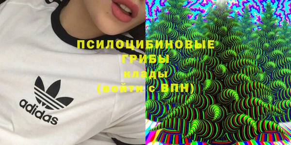 молекула духа Верея