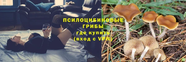 эйфоретик Верхний Тагил